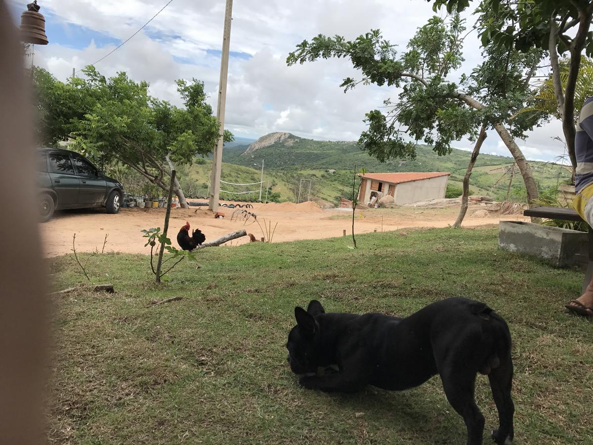 فندق ناتالفي  Paradise Camp المظهر الخارجي الصورة
