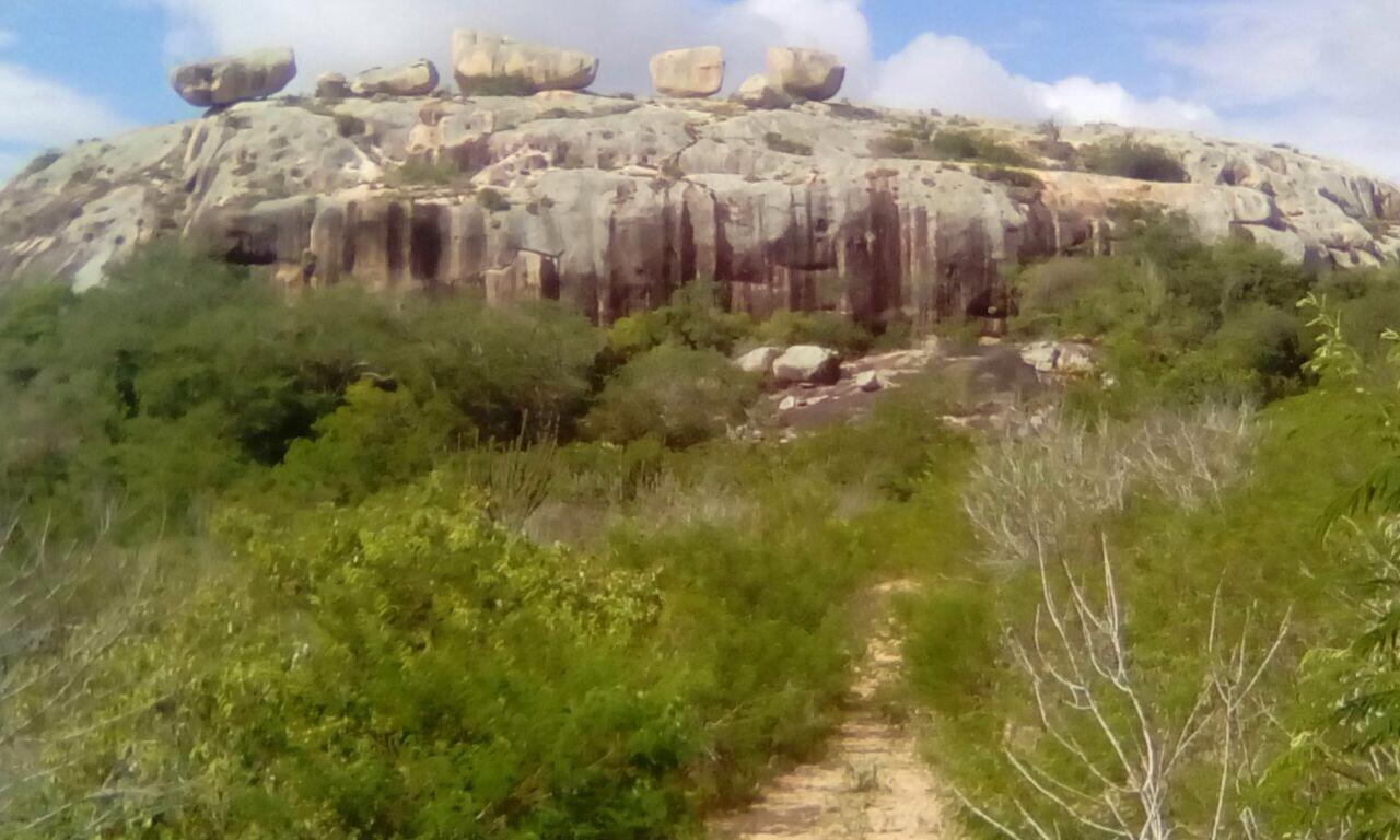 فندق ناتالفي  Paradise Camp المظهر الخارجي الصورة