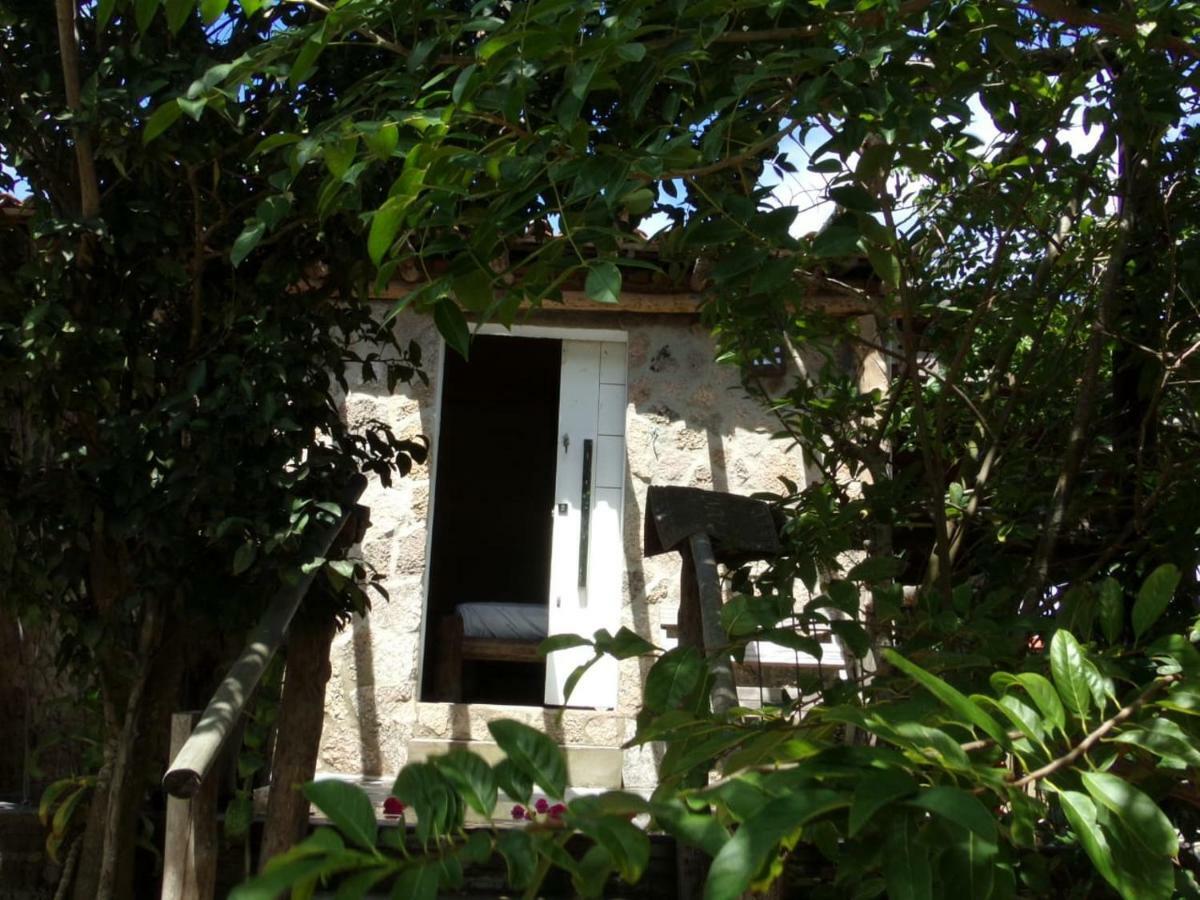 فندق ناتالفي  Paradise Camp المظهر الخارجي الصورة